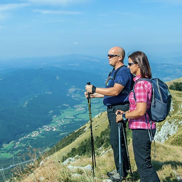 Disneyland & Universal Family.